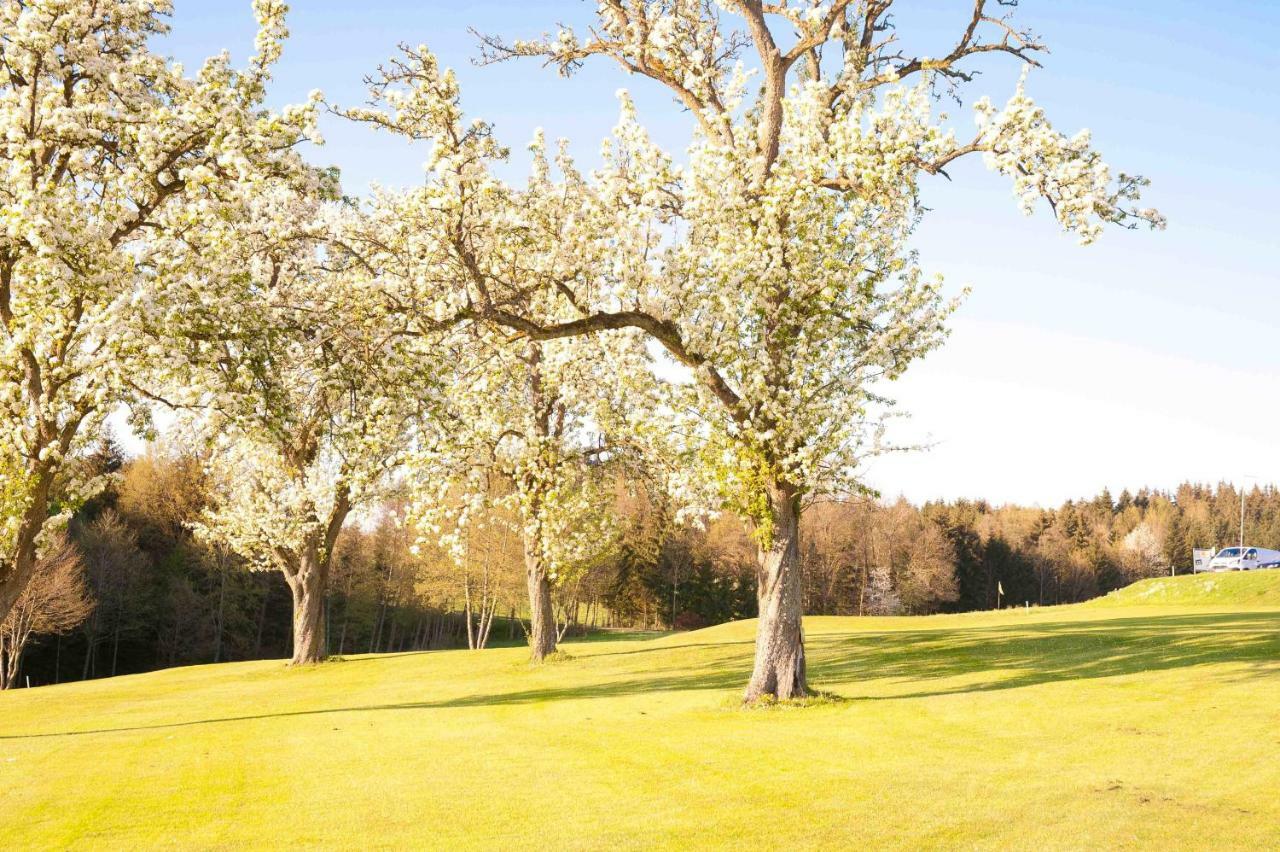 Topfit-Freizeitpark Hotel Freinberg ภายนอก รูปภาพ
